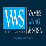 Vames, Wang & Sosa, Trial Lawyers Legal