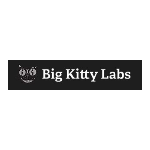 Big Kitty Labs Digital marketing