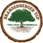 Brandenberger Tree Care Professionals LLC Contractors