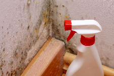 Mold Experts of Milwaukee Home Services