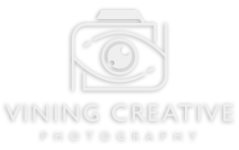 Vining Creative Photography Design & Branding & Printing