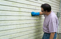 Wheat State Mold Experts Contractors