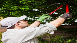 Spring Tree Service Home Services