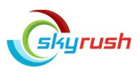 Skyrush Marketing Digital marketing