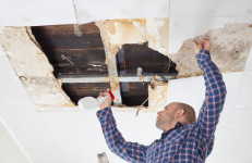 Charlottesville Mold Removal Contractors