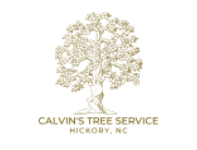 Calvin's Hickory Tree Service Contractors