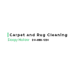 Rug And Carpet Cleaning Sleepy Hollow Contractors