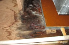 Water Damage Experts of Music CIty Home Services