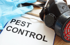 More To Offer Pest Control Solutions Contractors