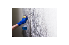 Charleston Mold Removal Pros BUILDING CONSTRUCTION - GENERAL CONTRACTORS & OPERATIVE BUILDERS