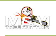 Bronx Tree Cutting Company At Unbeatable Prices Home Services
