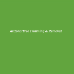 Arizona Tree Trimming & Removal Home Services