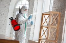 Mold Experts of San Diego Contractors