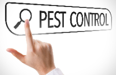 Ringling Pest Control BUSINESS SERVICES