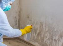 Strong Island Mold Inspections Contractors