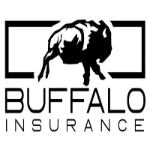 Buffalo Insurance Insurance