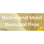 Richmond Mold Removal Pros Contractors