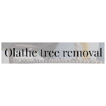 Blue Summit Tree Removal Contractors