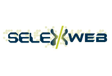 SelexWeb Design & Branding & Printing