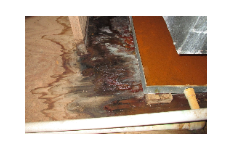 Water Damage Experts of Boca Raton Home Services
