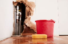 Water Damage Experts of Palmdale Building & Construction