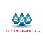 AAA City Plumbing Home Services