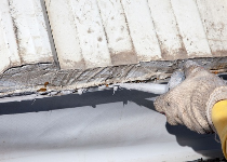 Forgotten Waterproofing Solutions Home Services